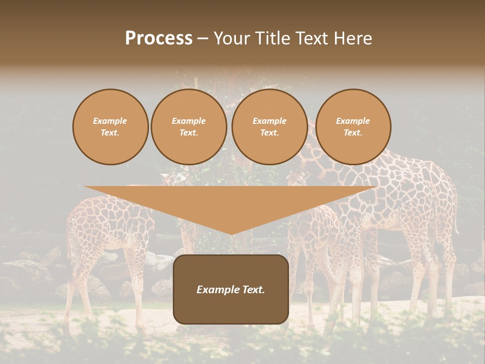 Giraffa Sky Long PowerPoint Template