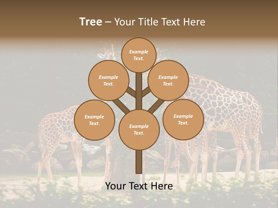 Giraffa Sky Long PowerPoint Template