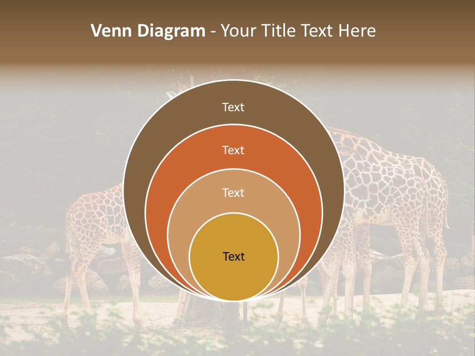 Giraffa Sky Long PowerPoint Template