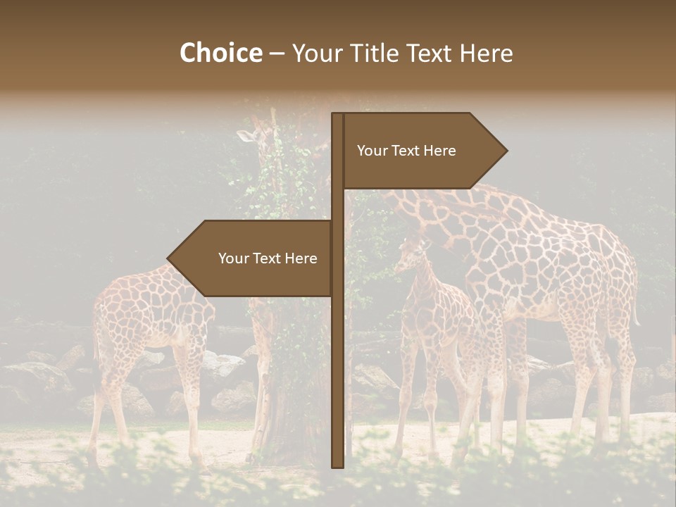 Giraffa Sky Long PowerPoint Template