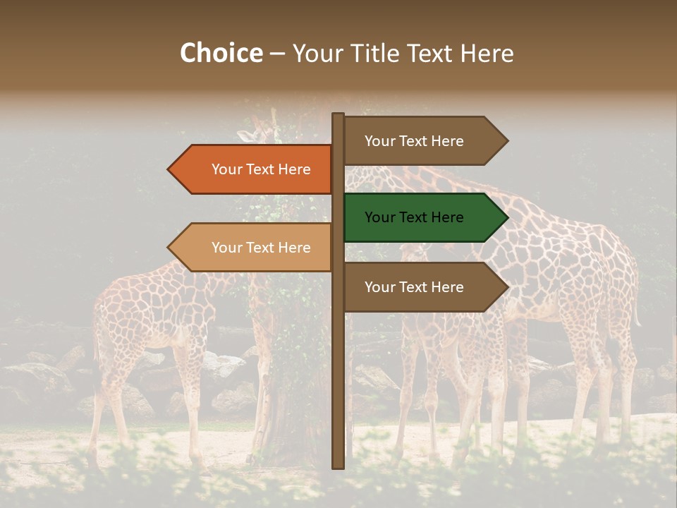 Giraffa Sky Long PowerPoint Template