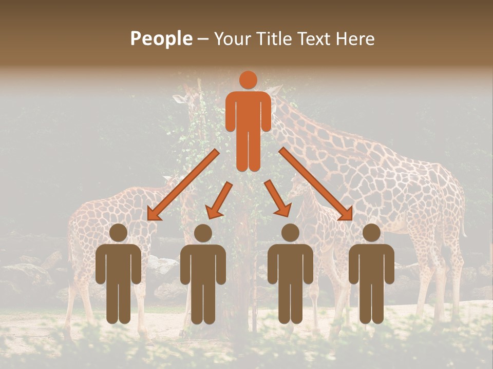 Giraffa Sky Long PowerPoint Template