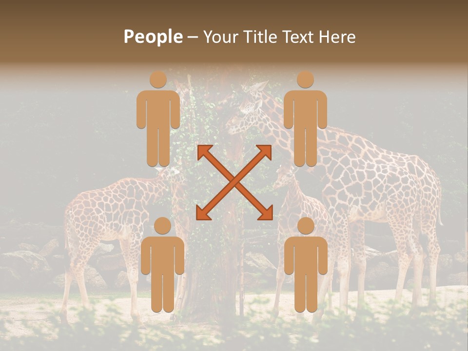 Giraffa Sky Long PowerPoint Template