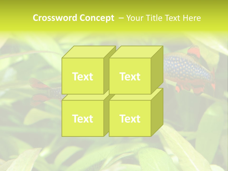 Myanmar Fin Hobby PowerPoint Template