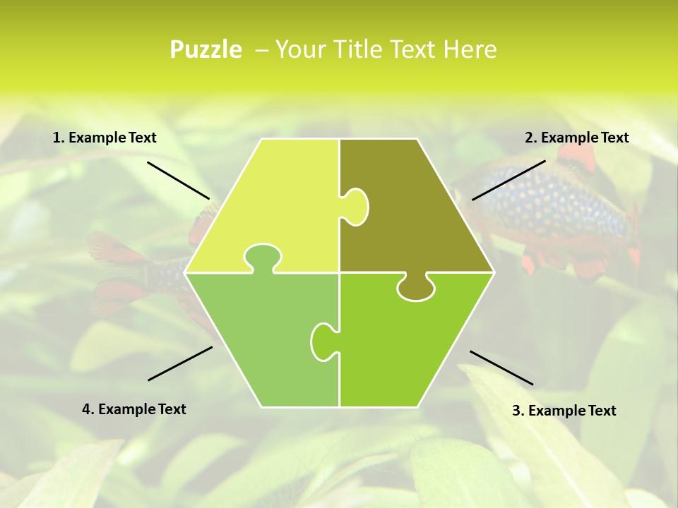 Myanmar Fin Hobby PowerPoint Template