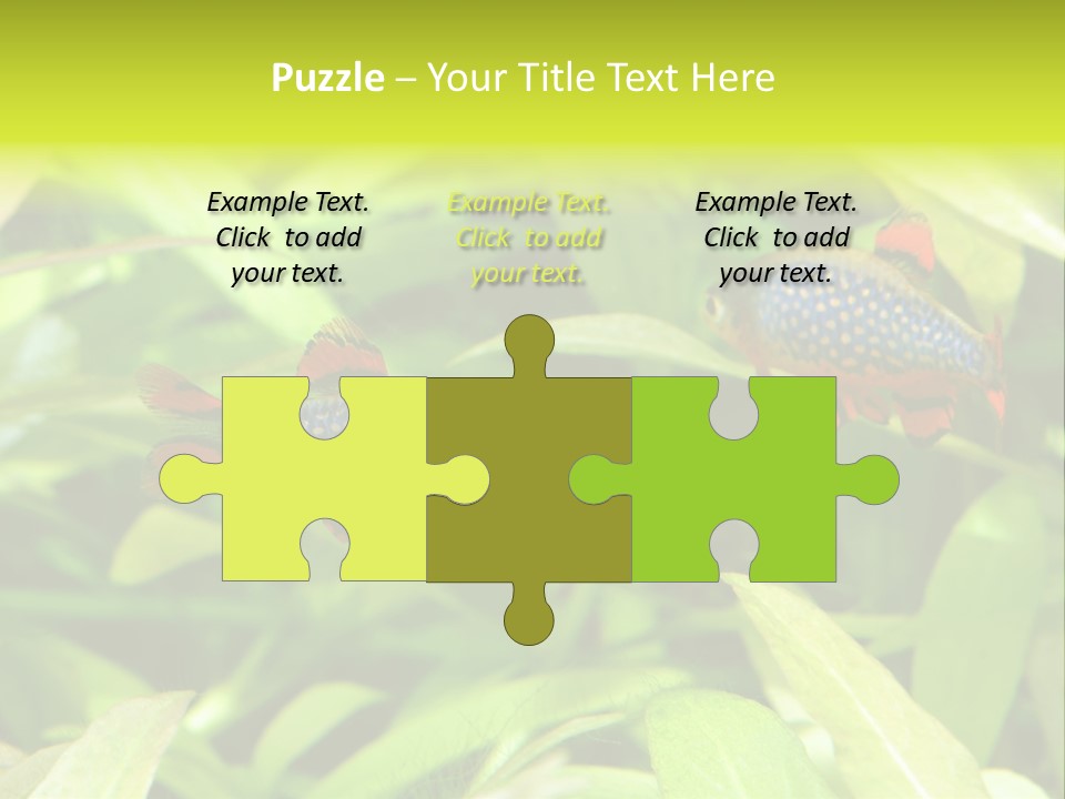 Myanmar Fin Hobby PowerPoint Template