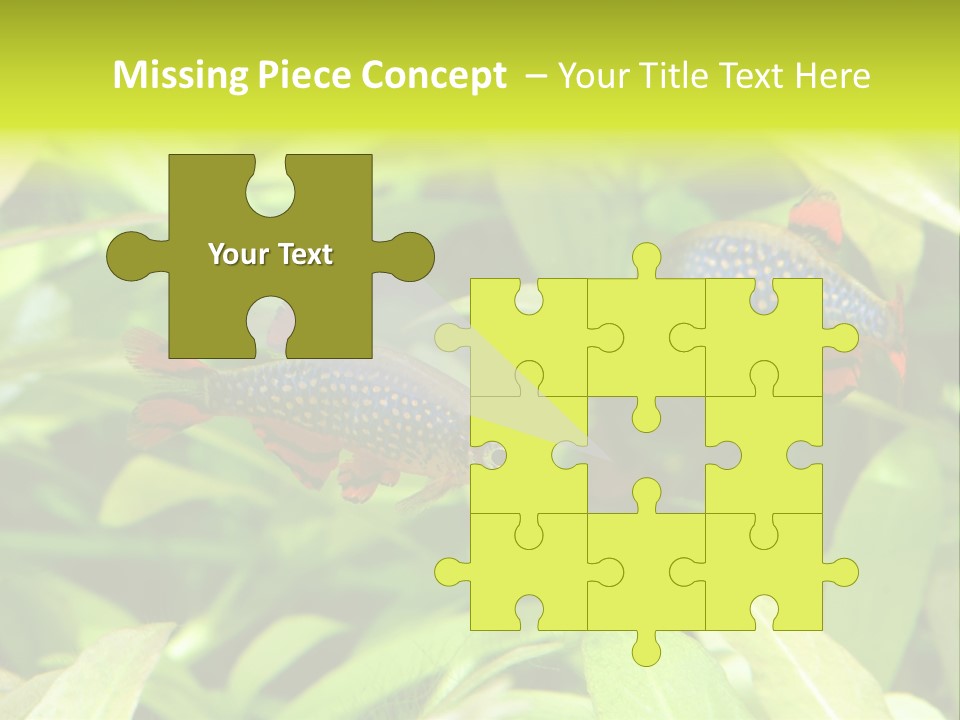 Myanmar Fin Hobby PowerPoint Template