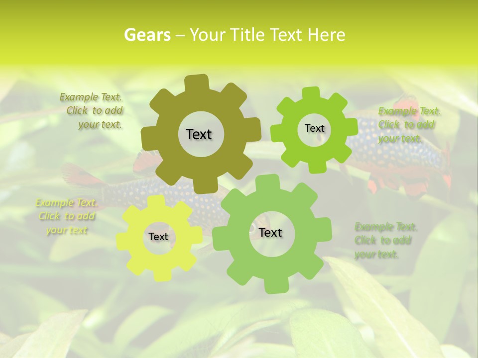 Myanmar Fin Hobby PowerPoint Template