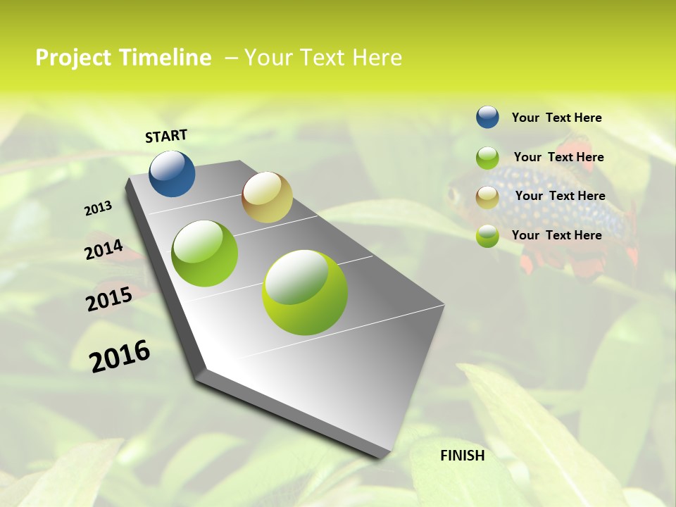 Myanmar Fin Hobby PowerPoint Template
