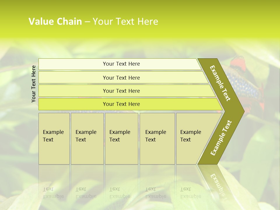 Myanmar Fin Hobby PowerPoint Template
