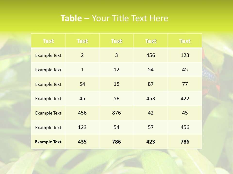 Myanmar Fin Hobby PowerPoint Template