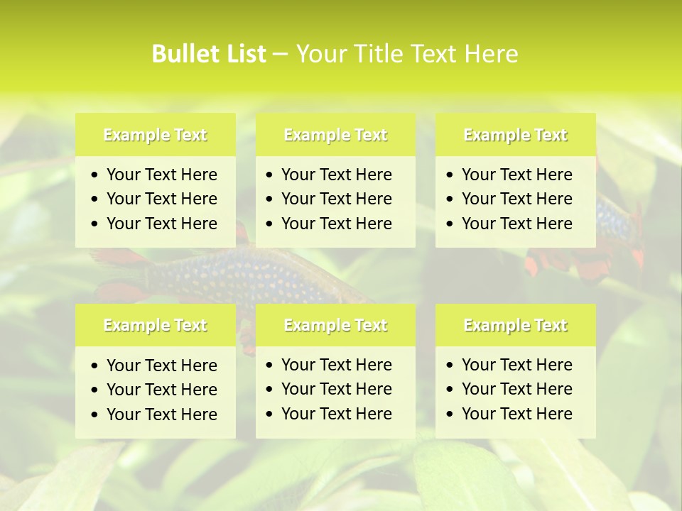 Myanmar Fin Hobby PowerPoint Template