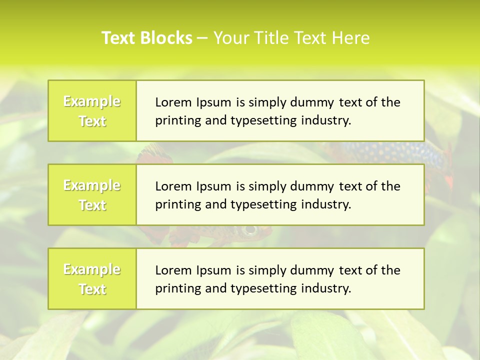 Myanmar Fin Hobby PowerPoint Template