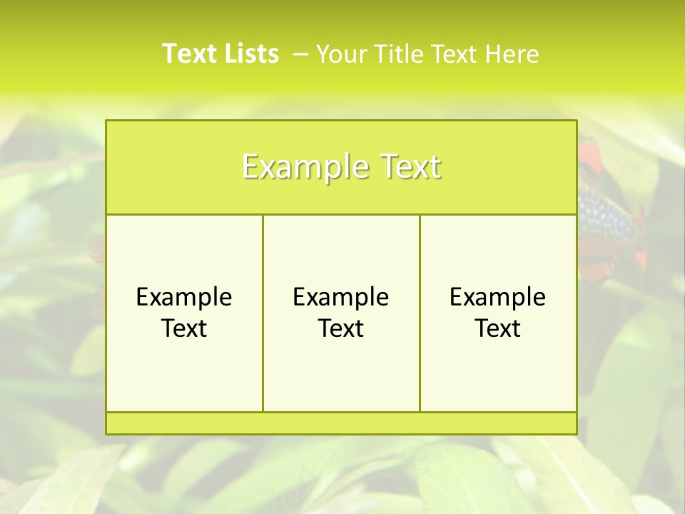 Myanmar Fin Hobby PowerPoint Template