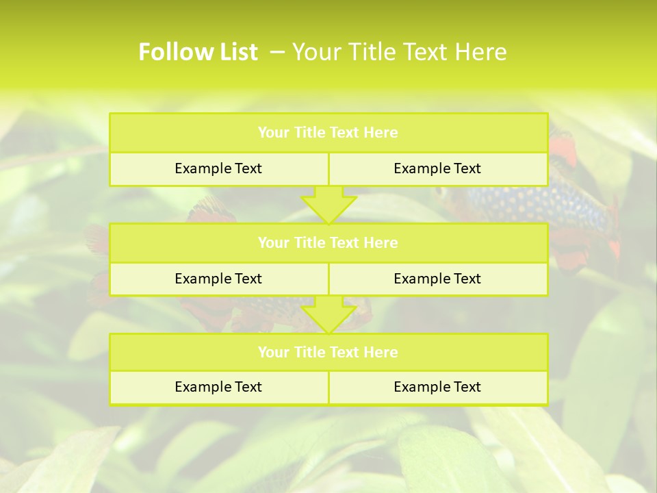 Myanmar Fin Hobby PowerPoint Template