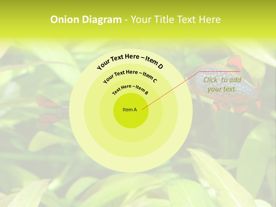 Myanmar Fin Hobby PowerPoint Template