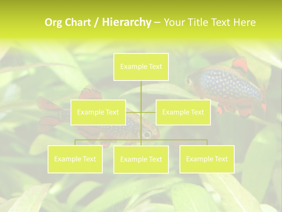 Myanmar Fin Hobby PowerPoint Template