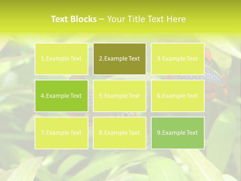 Myanmar Fin Hobby PowerPoint Template