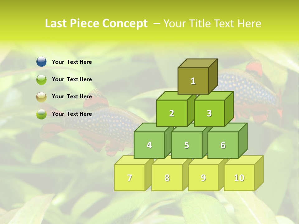 Myanmar Fin Hobby PowerPoint Template