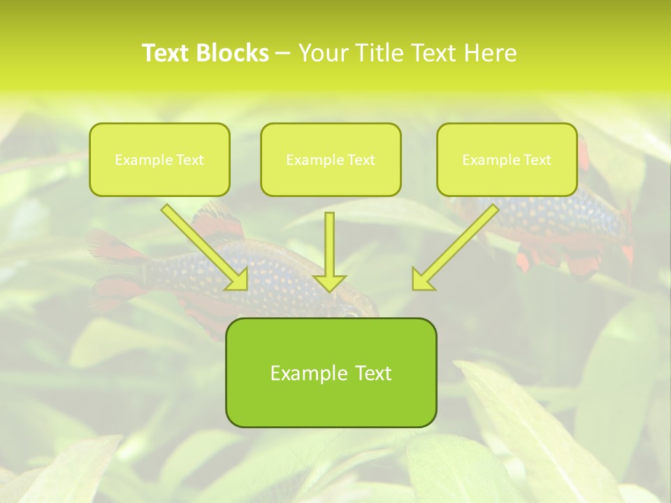Myanmar Fin Hobby PowerPoint Template