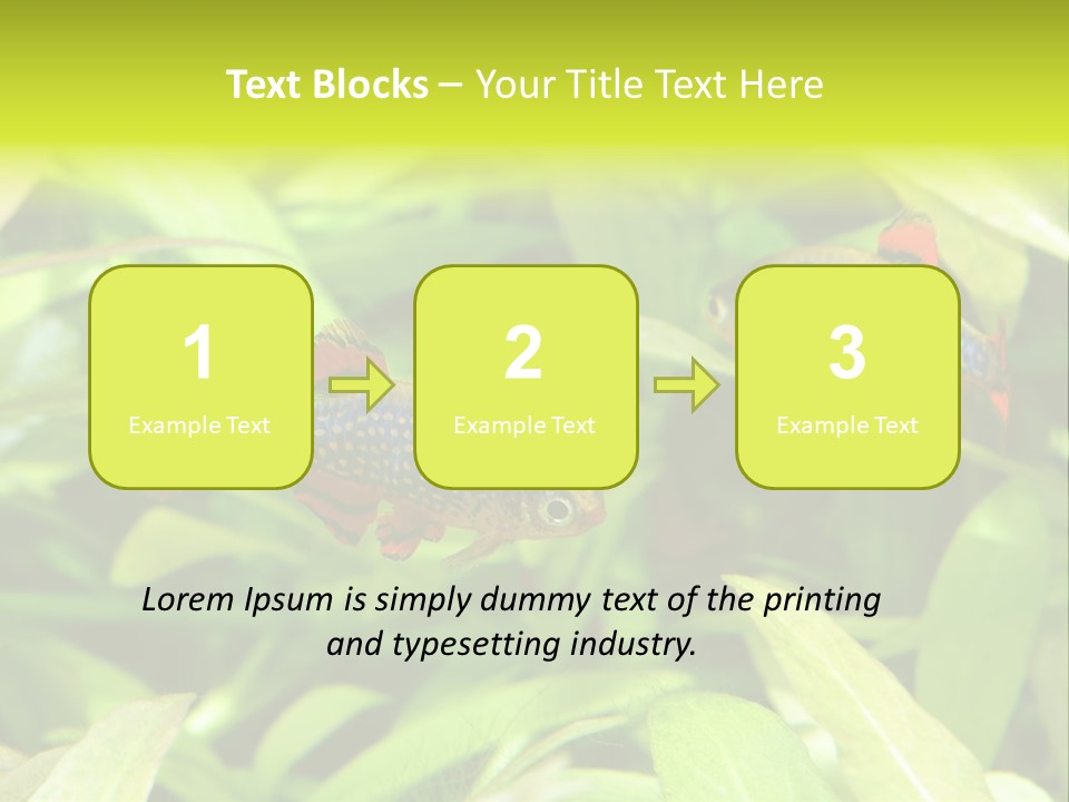 Myanmar Fin Hobby PowerPoint Template