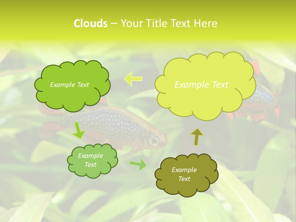 Myanmar Fin Hobby PowerPoint Template