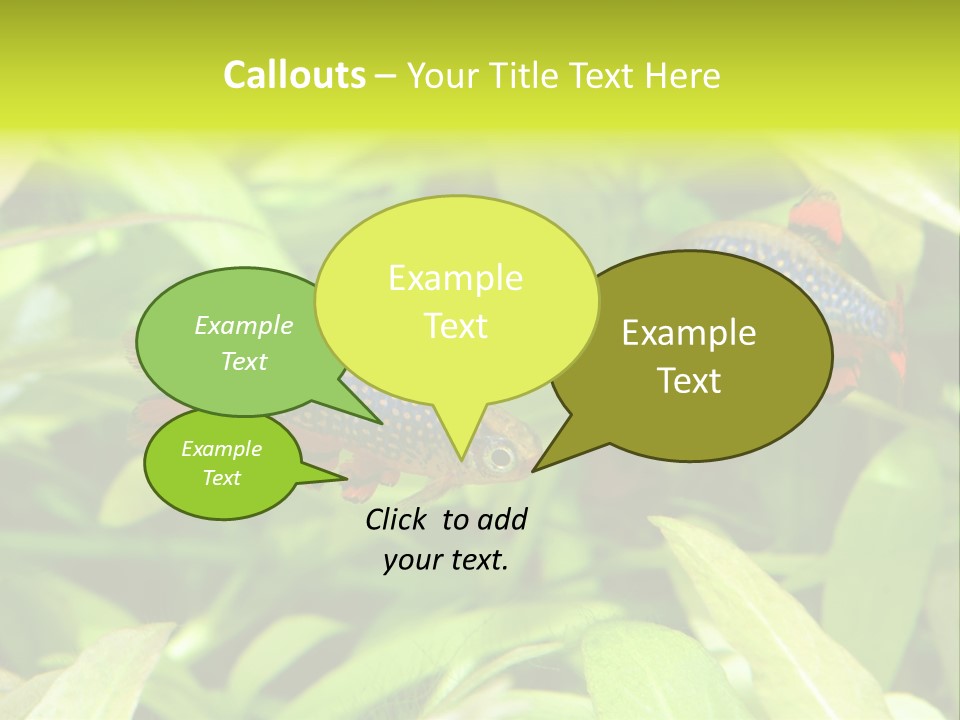 Myanmar Fin Hobby PowerPoint Template