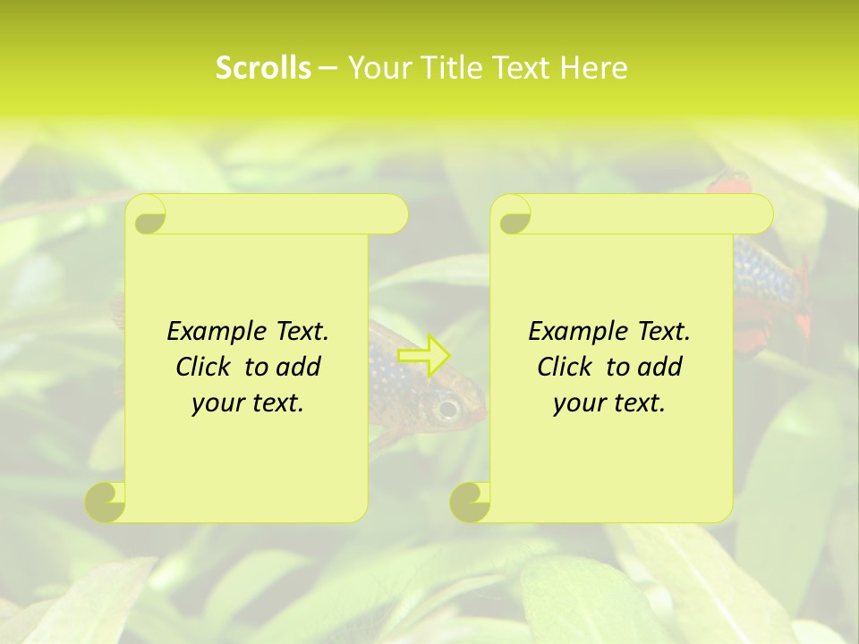 Myanmar Fin Hobby PowerPoint Template