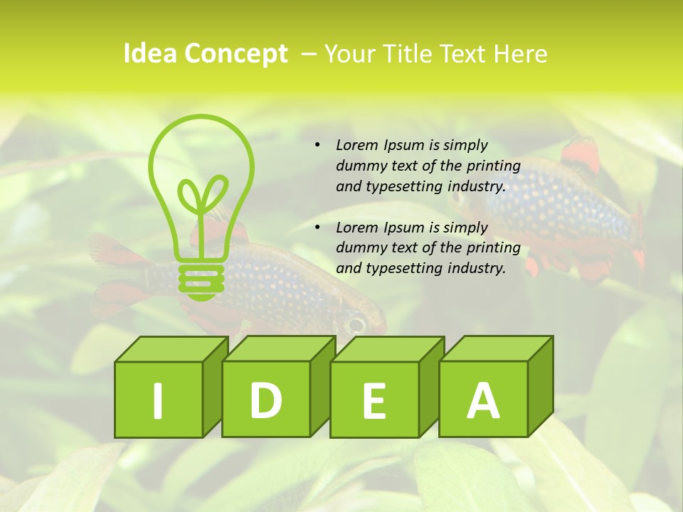 Myanmar Fin Hobby PowerPoint Template