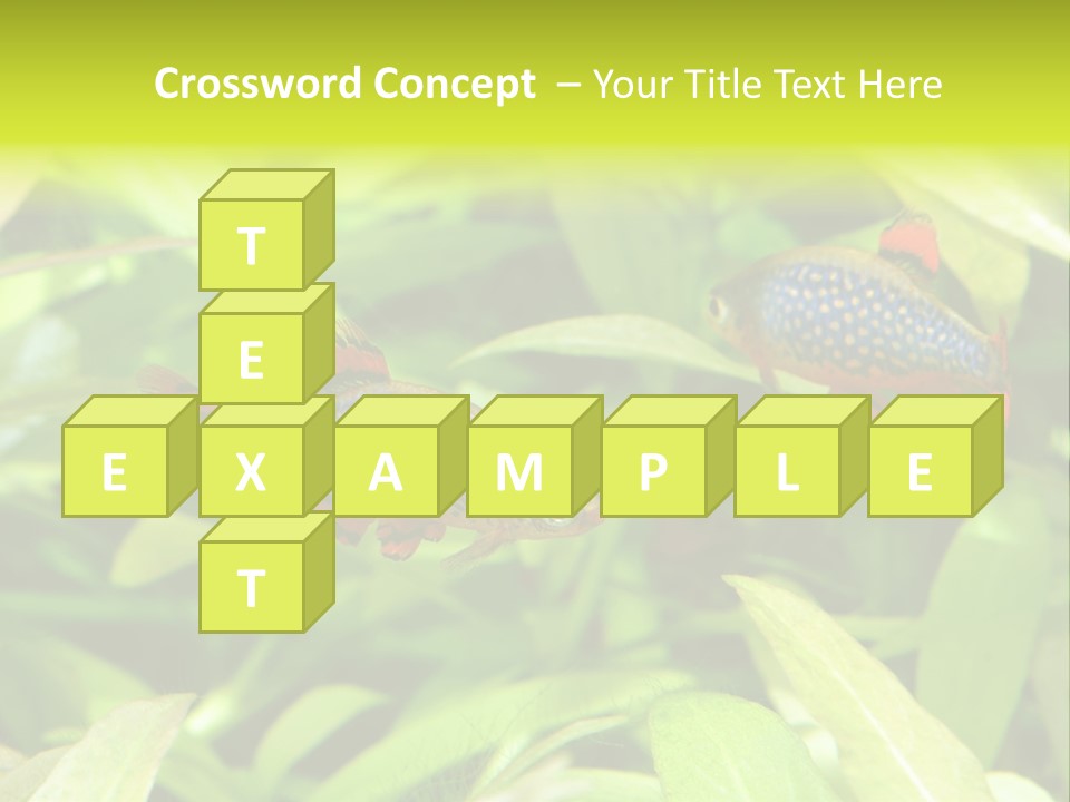 Myanmar Fin Hobby PowerPoint Template