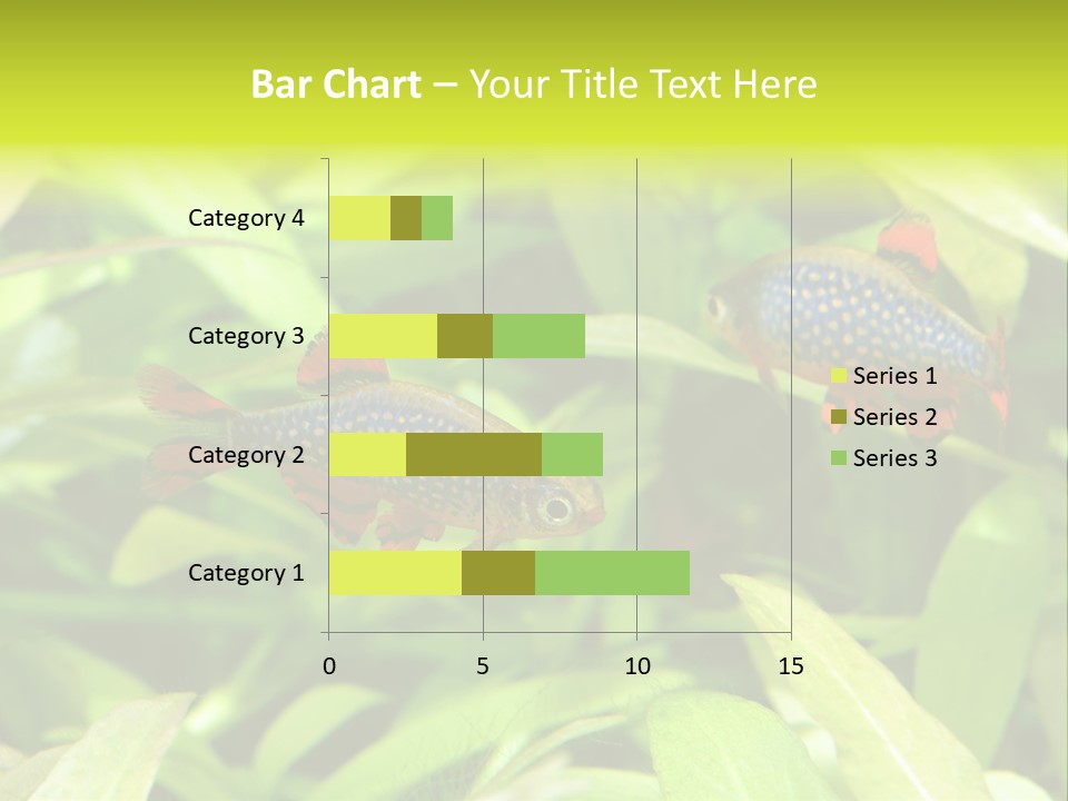 Myanmar Fin Hobby PowerPoint Template