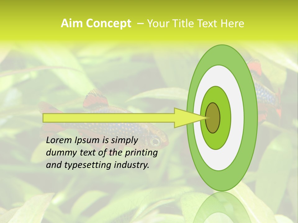 Myanmar Fin Hobby PowerPoint Template