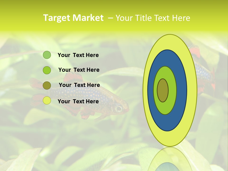 Myanmar Fin Hobby PowerPoint Template