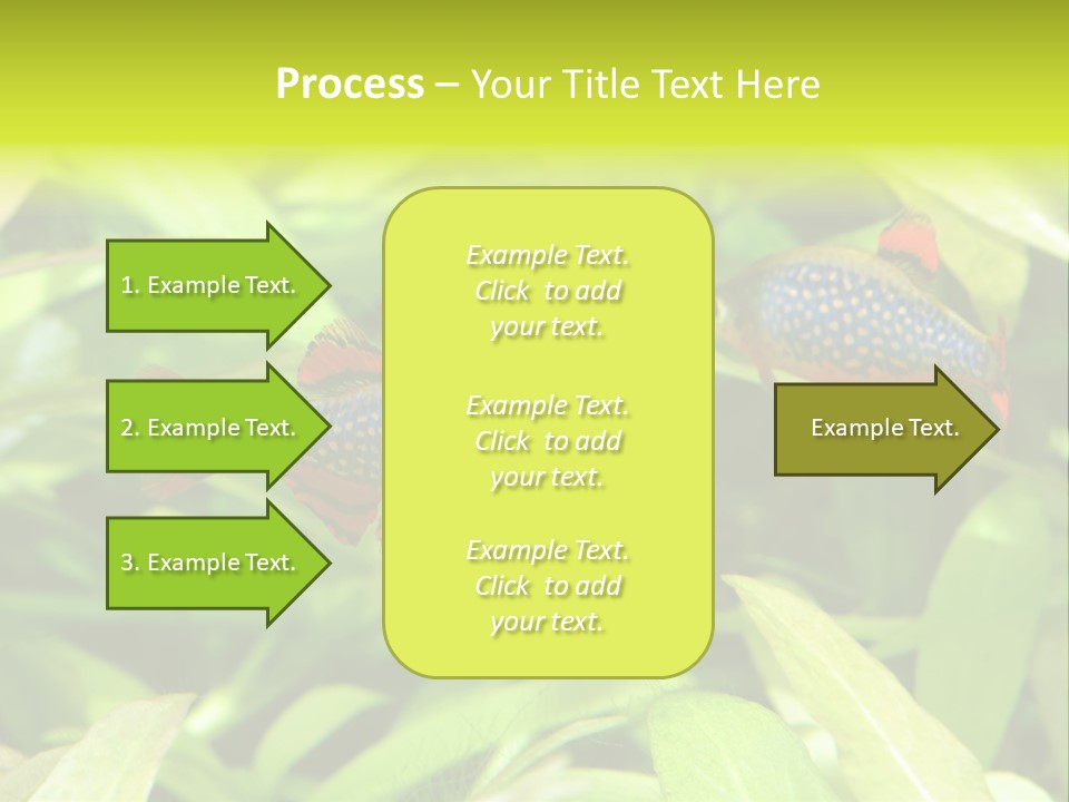 Myanmar Fin Hobby PowerPoint Template