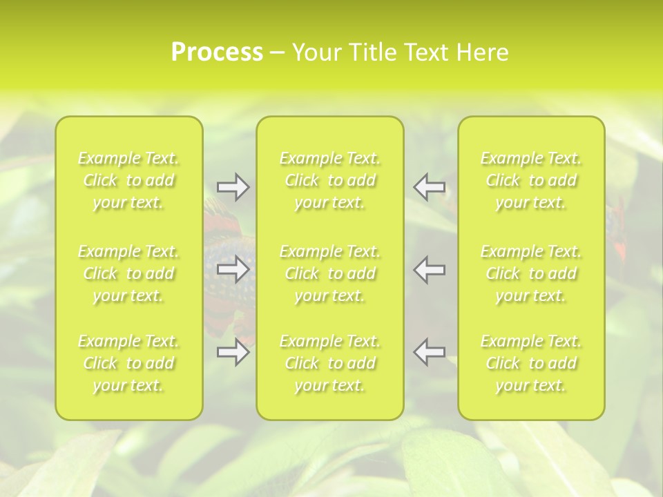 Myanmar Fin Hobby PowerPoint Template