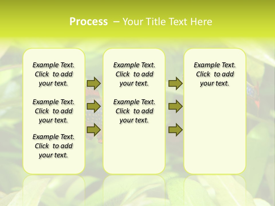 Myanmar Fin Hobby PowerPoint Template