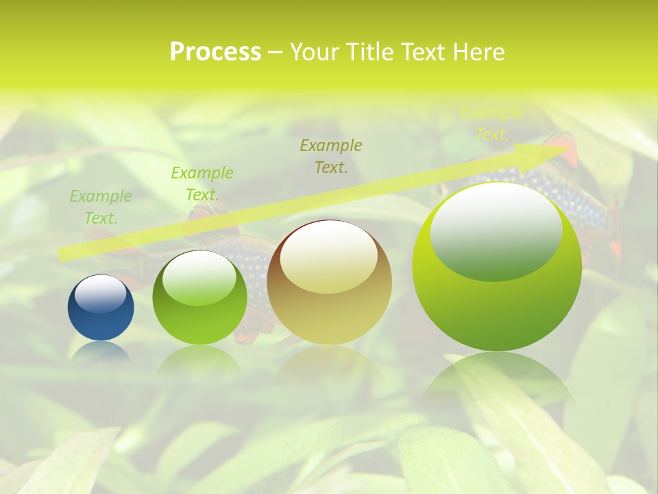 Myanmar Fin Hobby PowerPoint Template