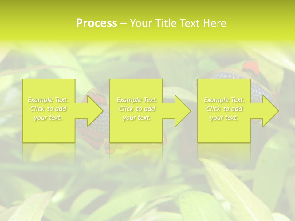 Myanmar Fin Hobby PowerPoint Template