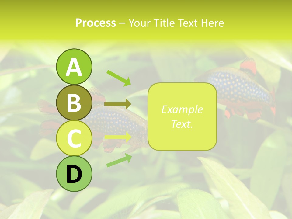 Myanmar Fin Hobby PowerPoint Template