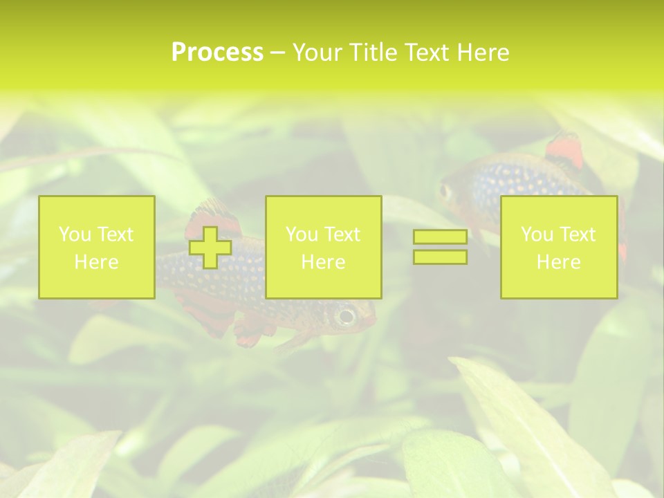 Myanmar Fin Hobby PowerPoint Template