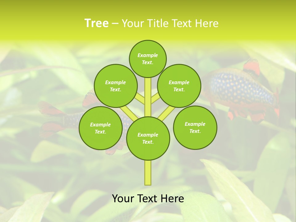 Myanmar Fin Hobby PowerPoint Template