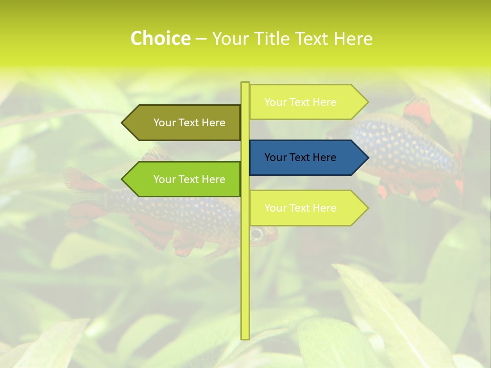 Myanmar Fin Hobby PowerPoint Template