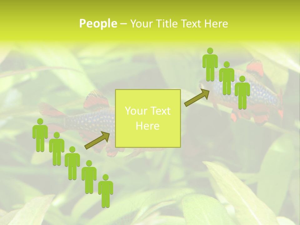 Myanmar Fin Hobby PowerPoint Template