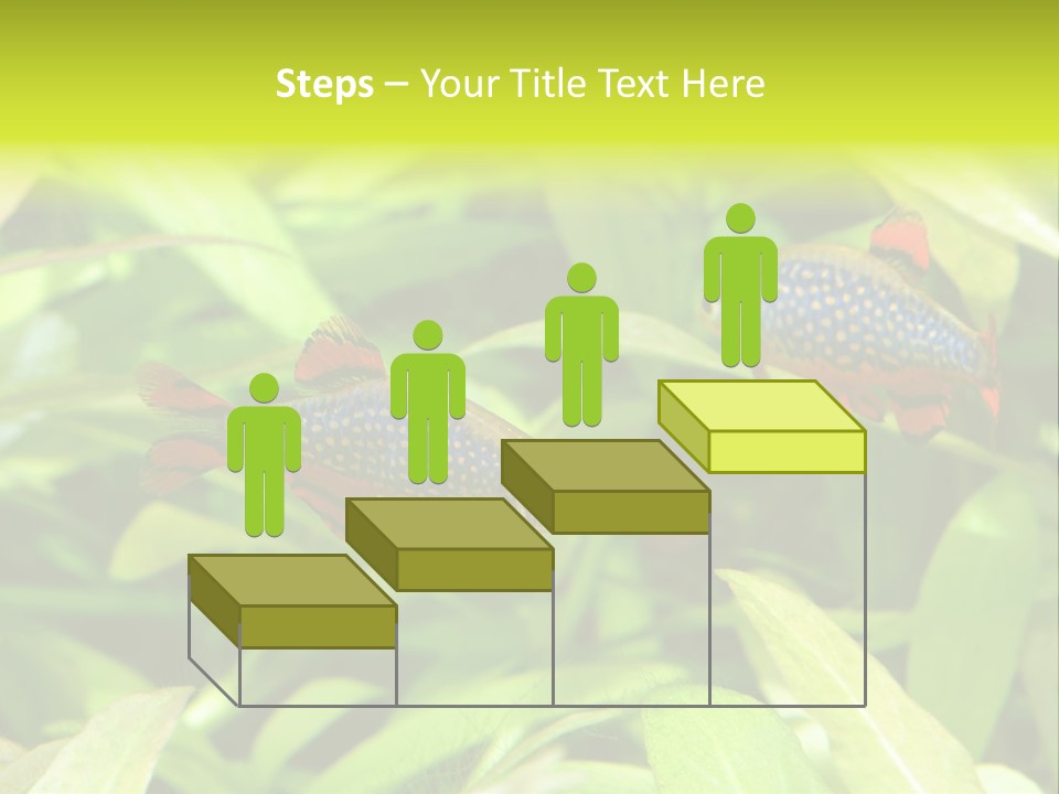 Myanmar Fin Hobby PowerPoint Template