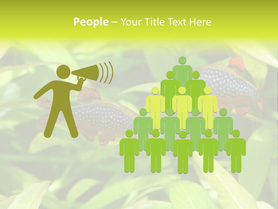 Myanmar Fin Hobby PowerPoint Template