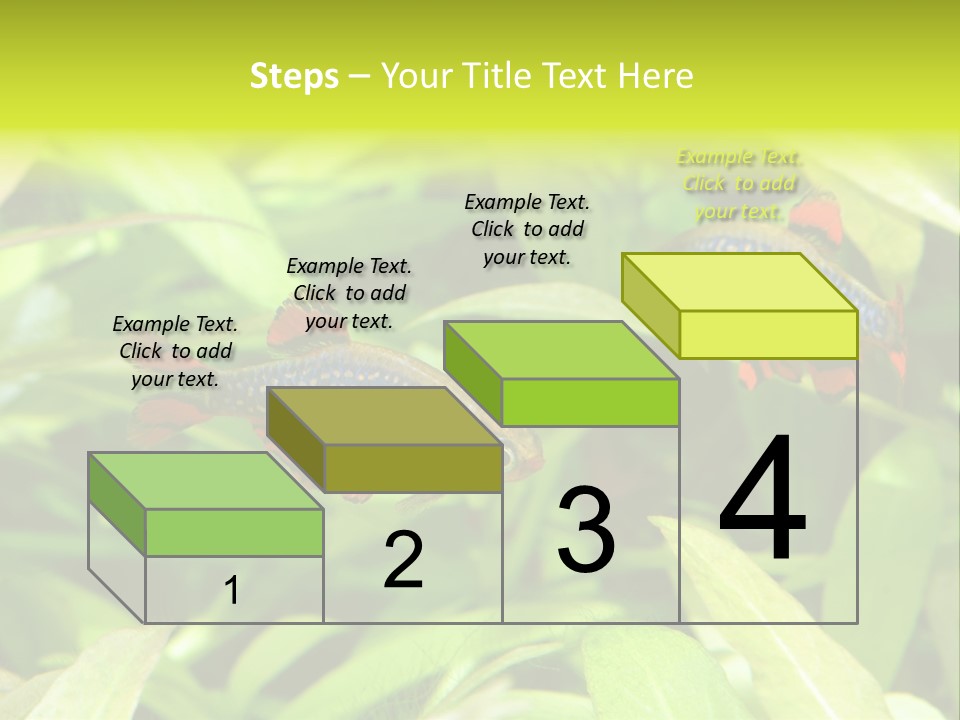 Myanmar Fin Hobby PowerPoint Template