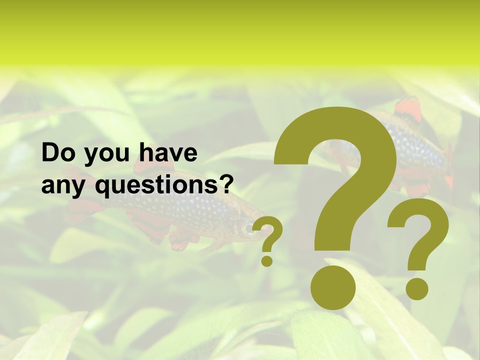 Myanmar Fin Hobby PowerPoint Template