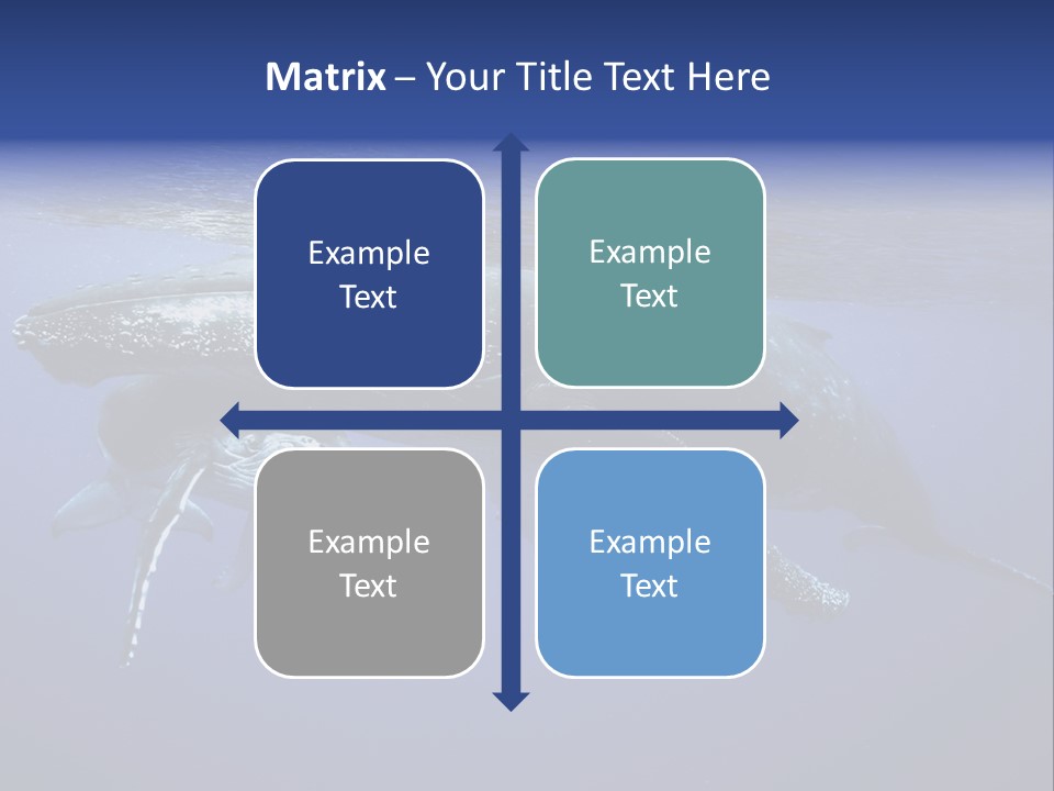 Humpbackwale Humpback Whale Orca PowerPoint Template