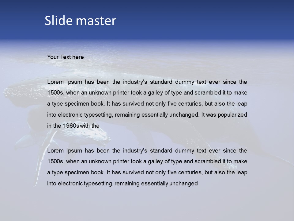 Humpbackwale Humpback Whale Orca PowerPoint Template