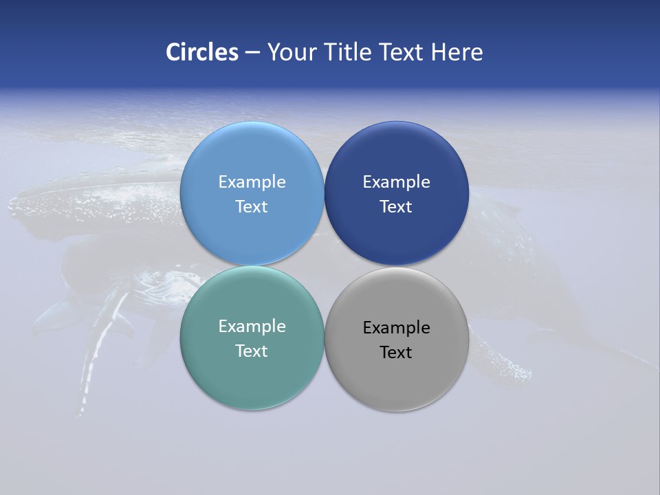 Humpbackwale Humpback Whale Orca PowerPoint Template